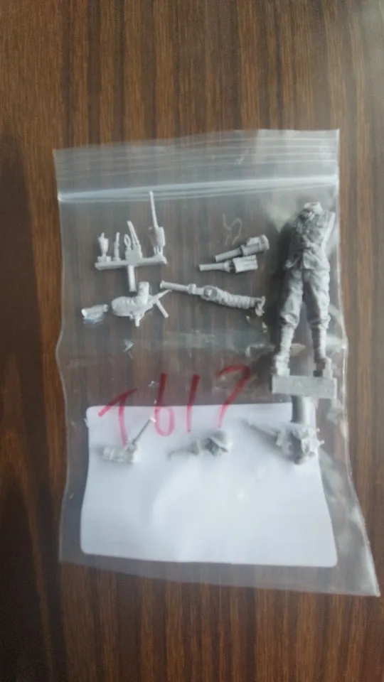 Buyer photo of this resin kit