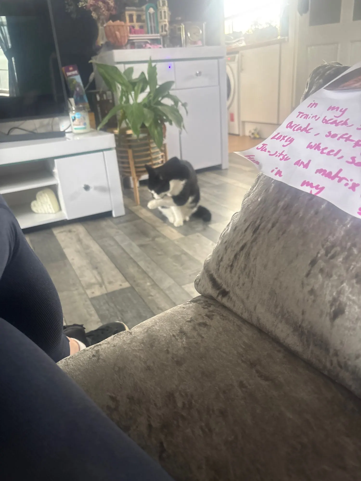 Customer review photo