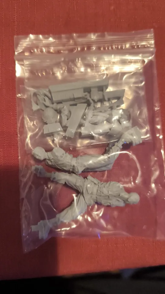 Buyer photo of this resin kit