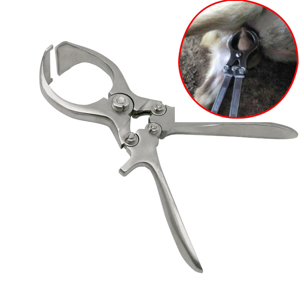 1Pc Livestock Without Blood Castration Pliers Pig Sheep Testicular Castration Clamp Farm Animal Scrotum Clamps Veterinary Tools