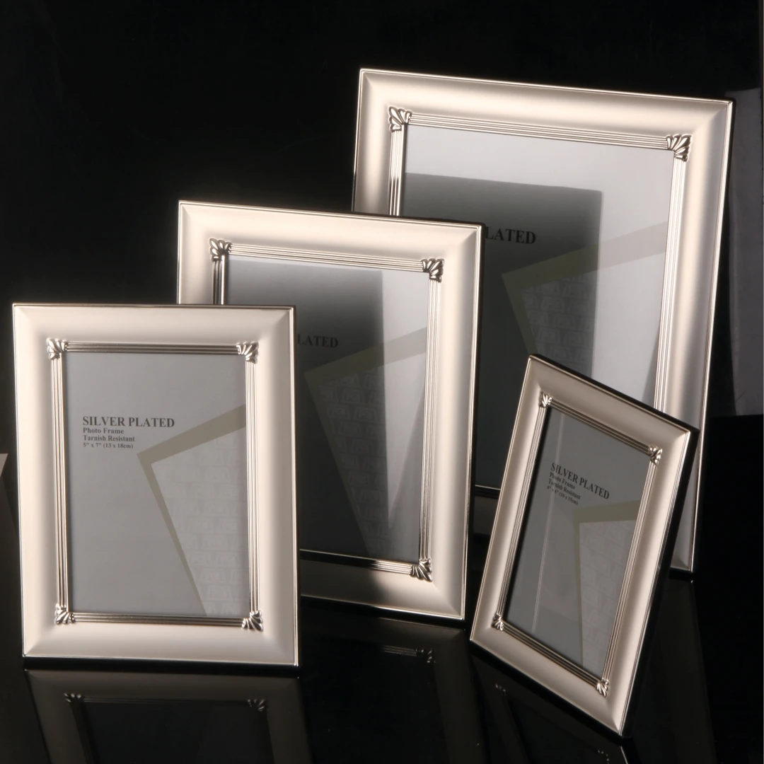Elegant Silver Edge Photo Frame with Velvet Backing