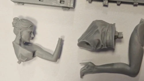Buyer photo of this resin kit