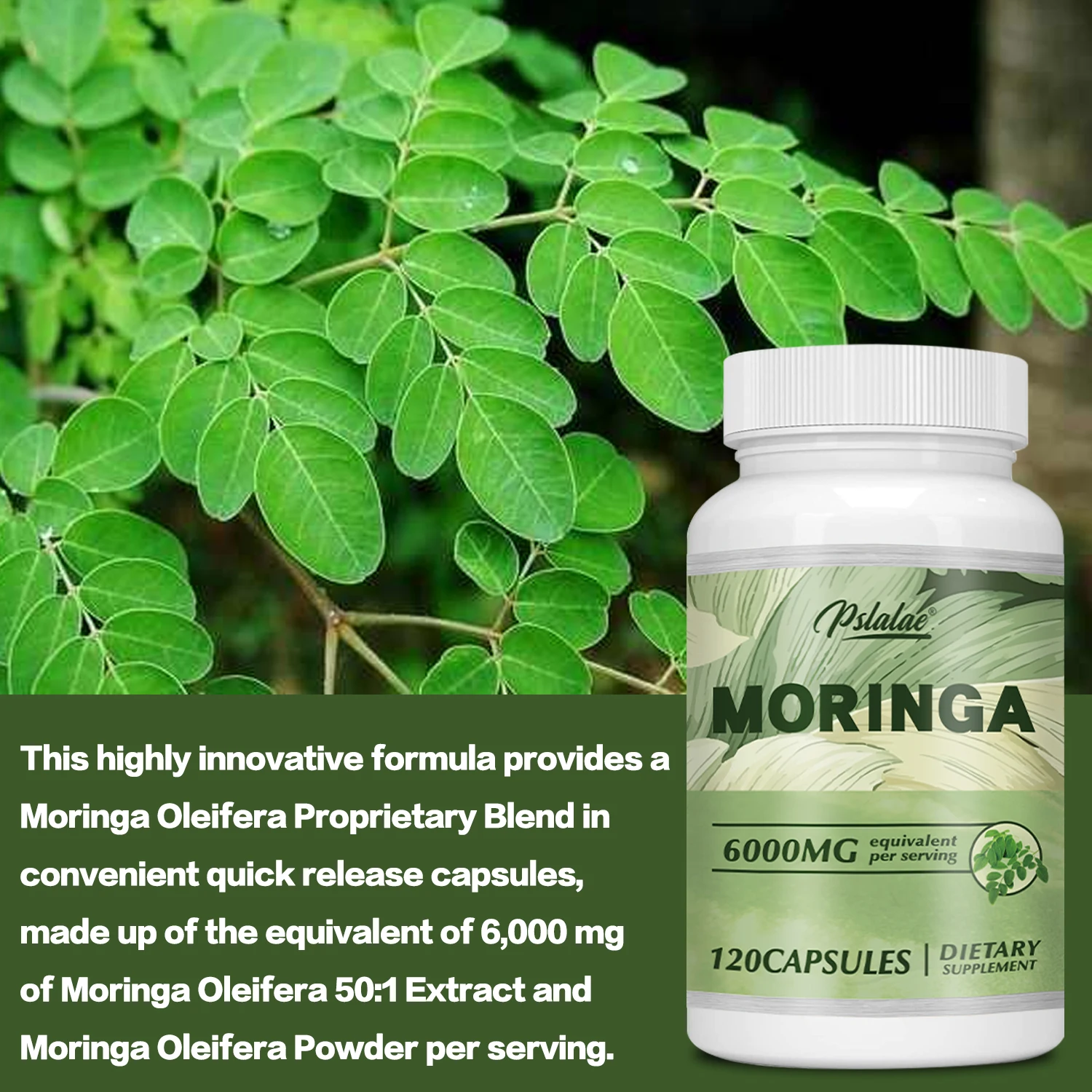 Moringa 6000mg-sistema inmunológico de apoyo, energía, metabolismo, antioxidantes-120 cápsulas