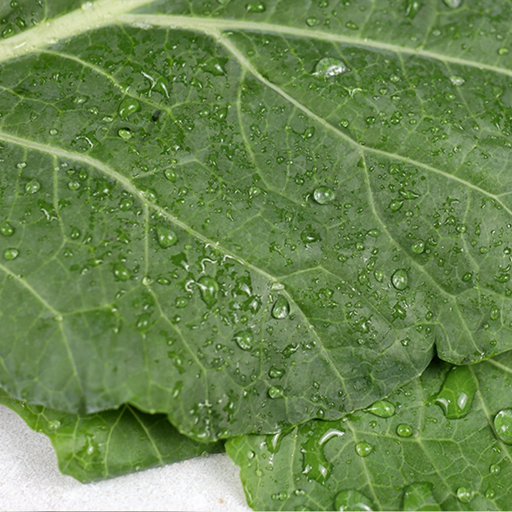 عصير عضوي الصديقِ الصديقِ للأطفال ، 2 صانعين