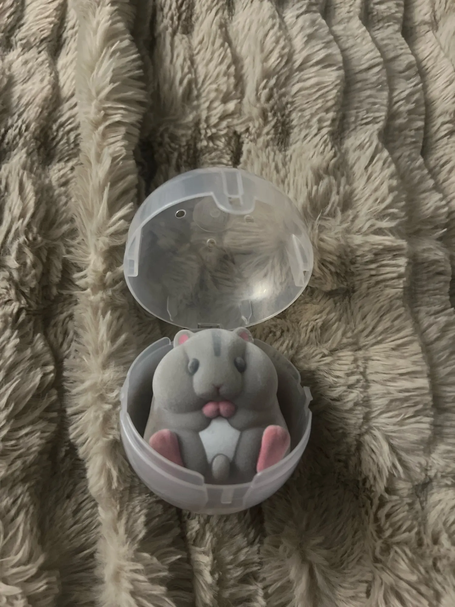 Foto de reseña de s***k 🇬🇧