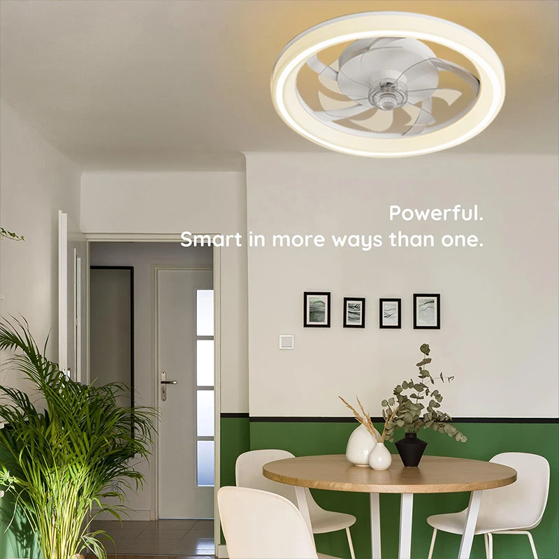 Modern New Ceiling Fan Light Living Room Bedroom Simple Home chandelier fan Intelligent Remote Control Restaurant LED Fan Light