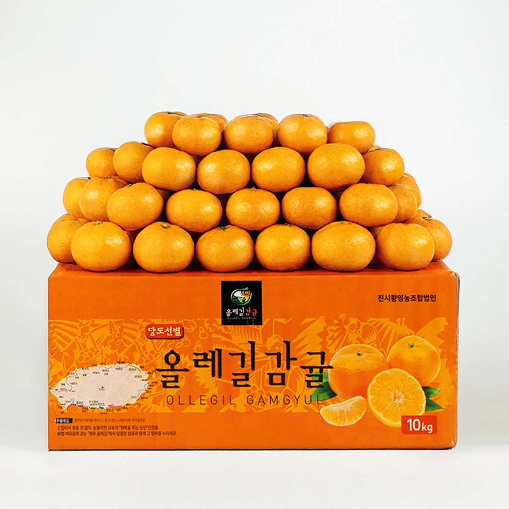 كمية محدودة يومية مكونة من 200 صندوقًا [حجم كبير] Seogwipo اليوسفي للمنزل المفتوح 5 كجم 9 كجم لحدث الموسم