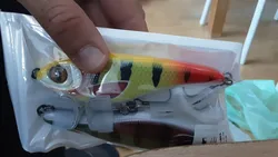 Imagen de reseña 1
