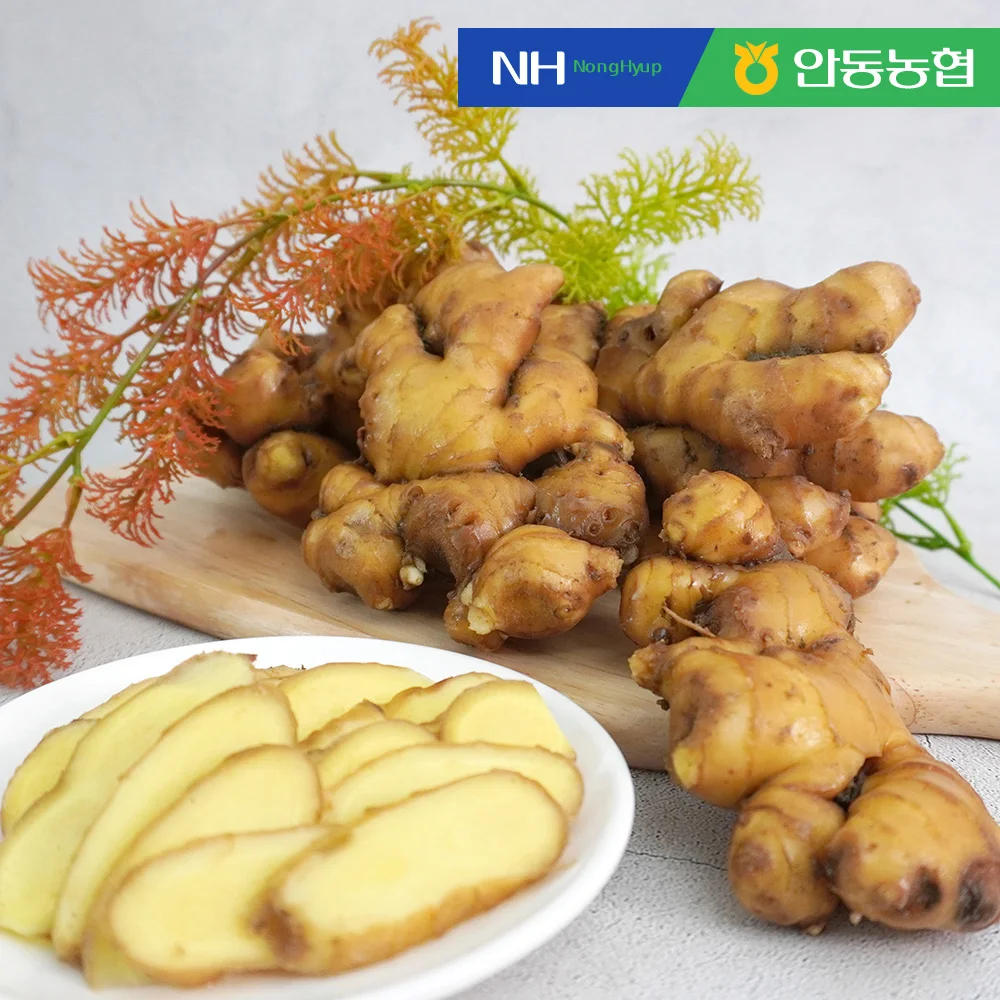 [Andong Agricultural Cooperatives] 1kg of fragrant soil ginger