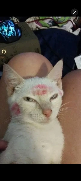 리뷰 사진