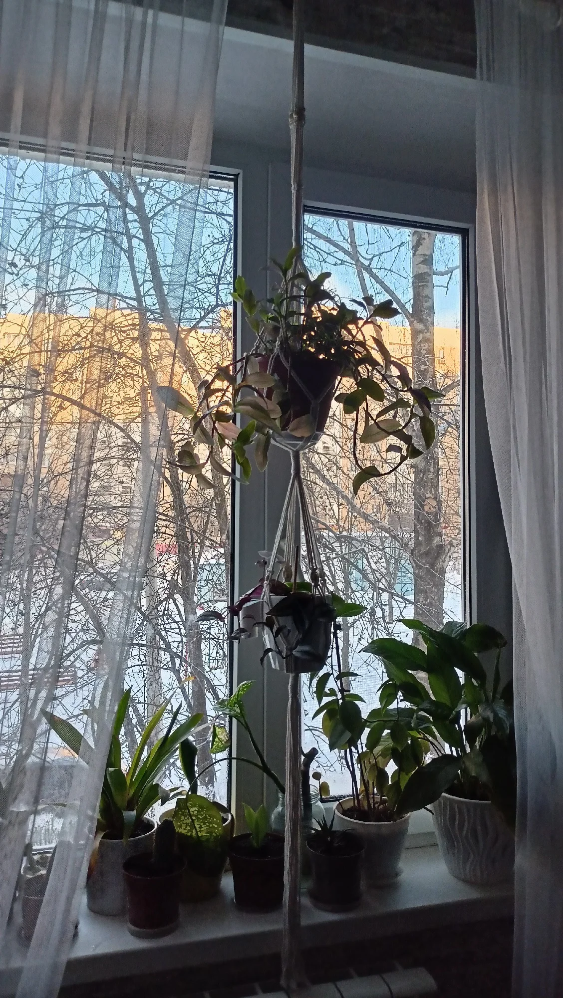 Handmade Macrame Plant Hanging Basket Garden Pots Holder Balcony Macrame Wall Hanging Decoration Knotted Lifting Rope Home Decor photo review