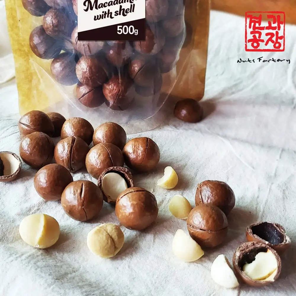 Whole macadamia 1 kg (500 g x 2 bags) Shell macadamia Fresh Vietnamese Inshell macadamia Nut macadamia