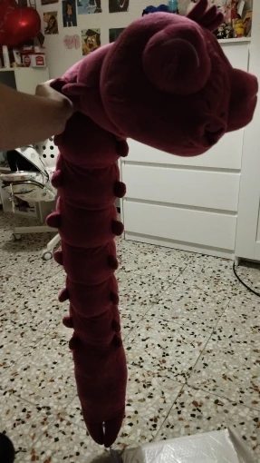실물 포토 리뷰