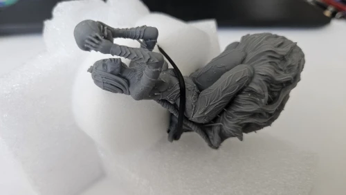 Buyer photo of this resin kit
