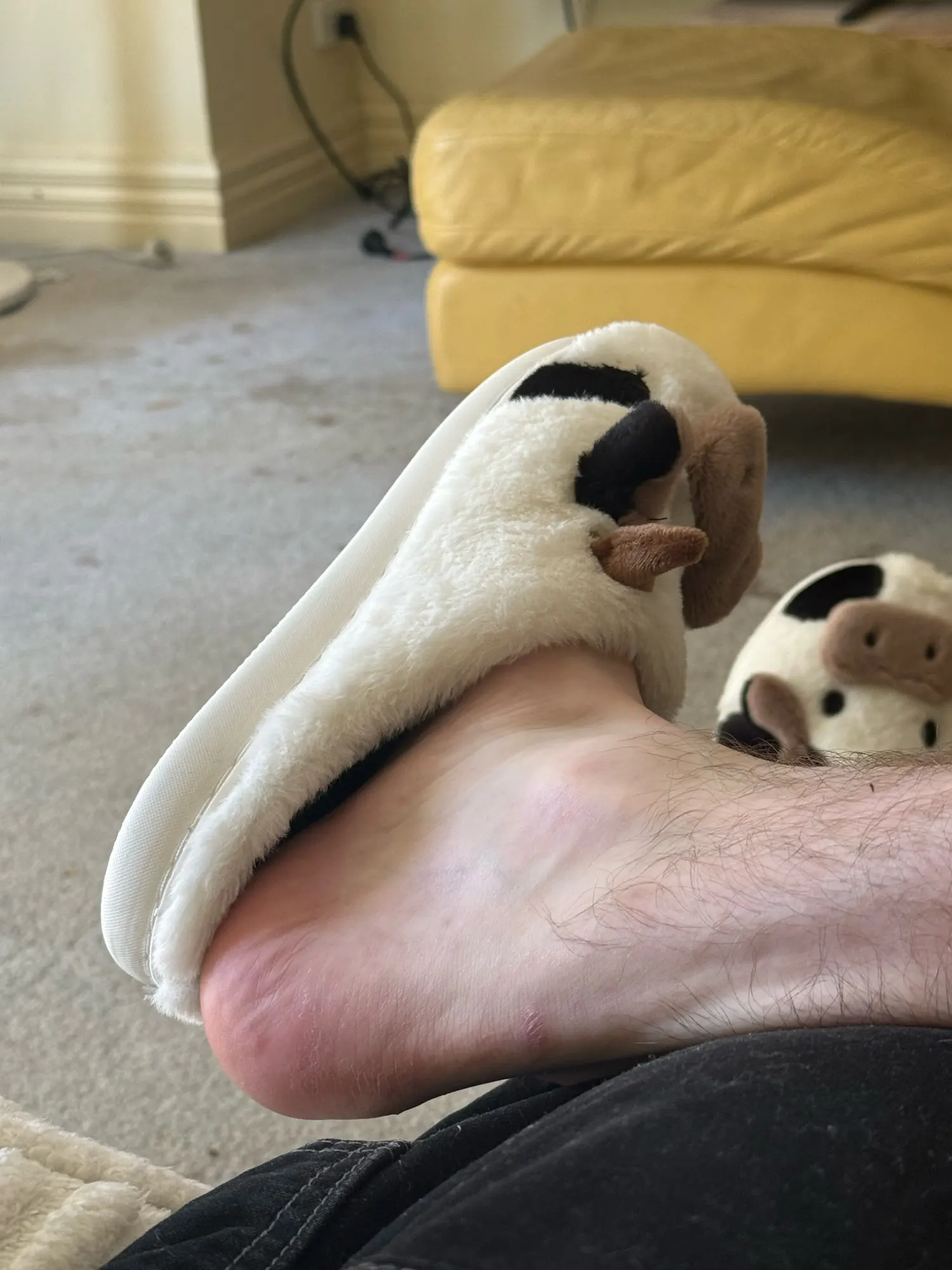 리뷰 사진