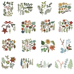 2022 New Wildflowers Stems Ikebana Metal Cutting Dies for Card Making Natural Greens Leaf Branch Feathers Stencils Scarpbooking