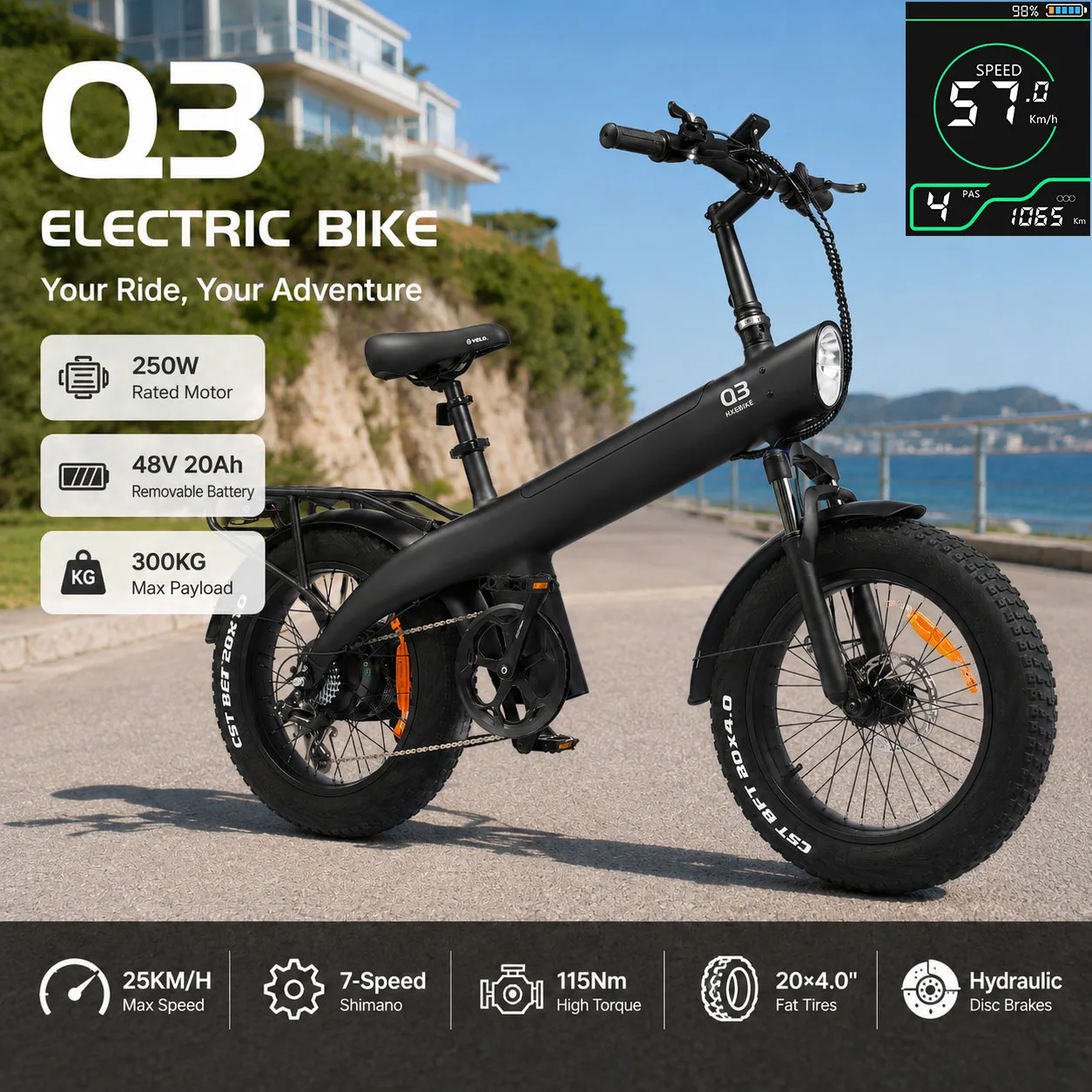 Vélo électrique HX Q3 pour adultes, moteur 250W, vitesse maximale 25 km/h, batterie amovible 48V 20Ah 960Wh, pneus larges 20x4 pouces, freins à disque