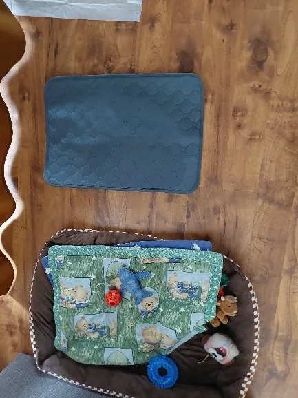 Customer review photo for Washable Reusable Dog Pee Pad