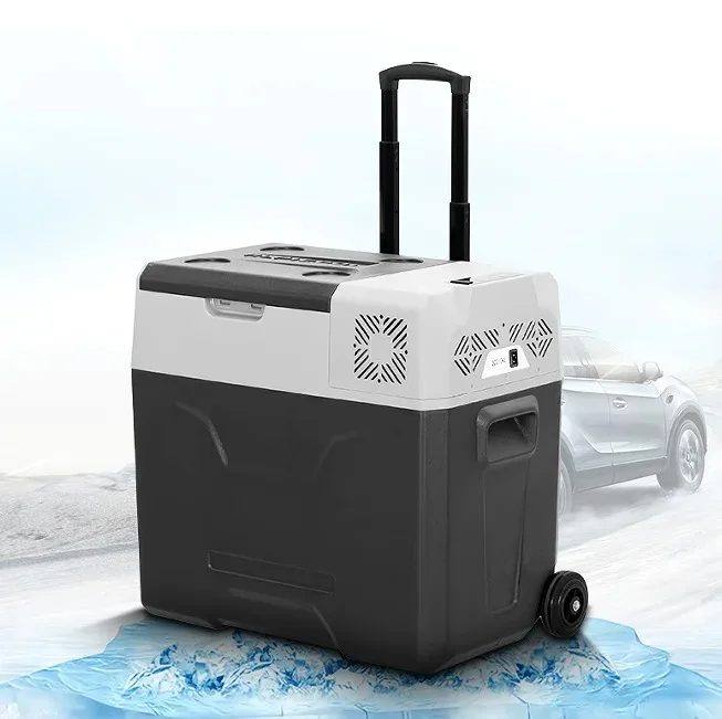 Alpicool-refrigerador portátil CX para coche, refrigerador pequeño de 30L, 40L, 50L, 12V, compresor, 220V, para uso doméstico, vehículo y camión