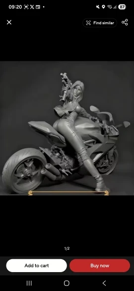 Buyer photo of this resin kit