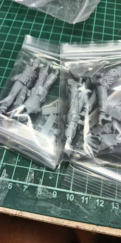 Buyer photo of this resin kit