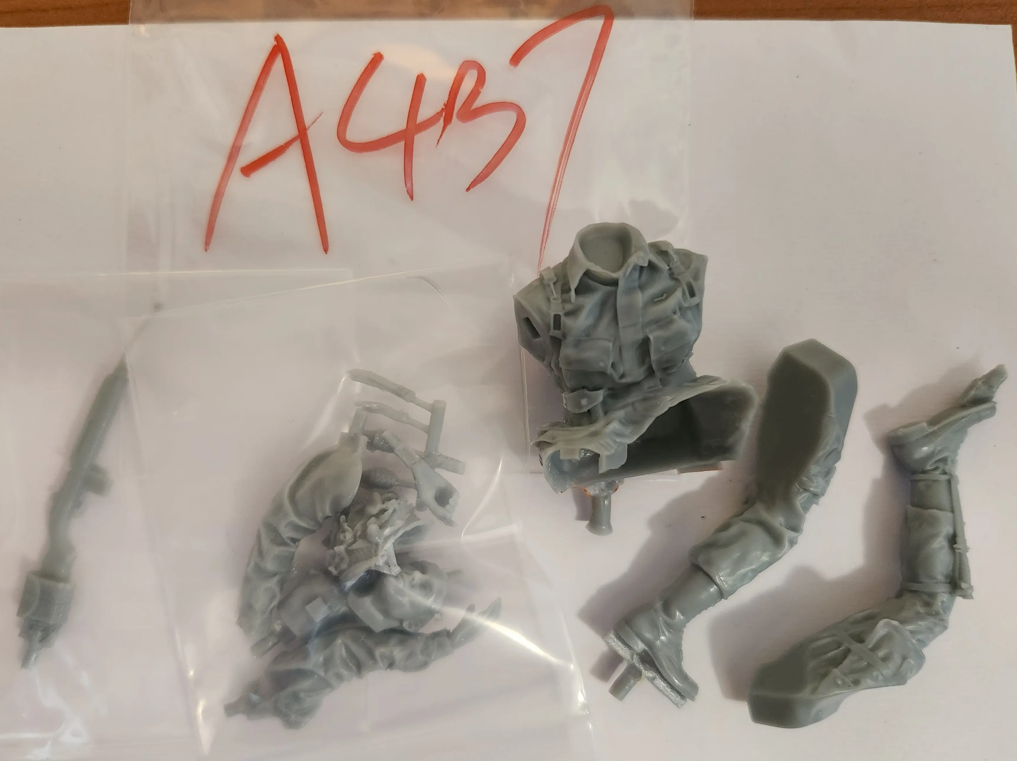 Buyer photo of this resin kit