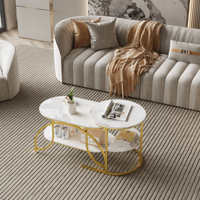 Anajqaqia Round Modern Table Set of 2, Coffee Sofa Table, Marble Look Side Table with Metal Frame and Shelf, for Living Room