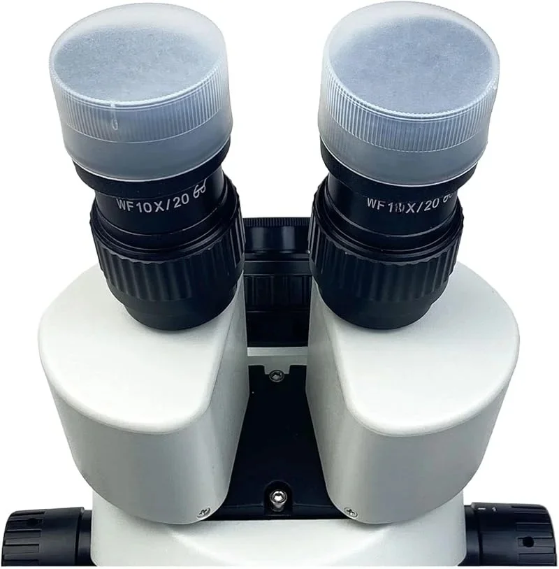 Couvercle universel sans poussière pour oculaire, pour Microscope binoculaire trinoculaire stéréo, Protection oculaire, lentille de Microscope, outil anti-poussière