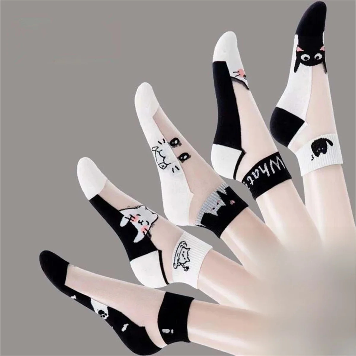 Dreamlikelin 5 paires/lot chaussettes d'été noir et blanc chat verre soie respirant femme chaussettes simples chaussettes courtes