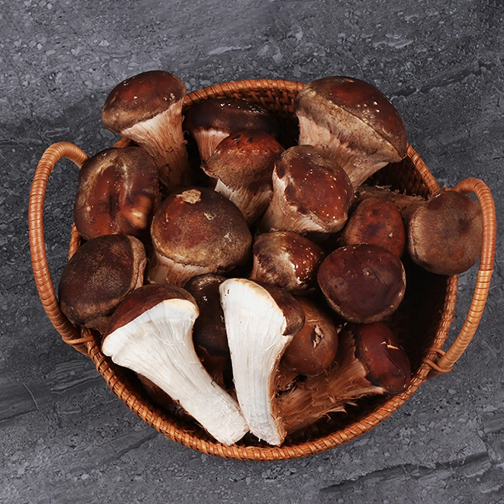 [InHane] Direct production pine mushrooms for home/Special/premium 500-1kg