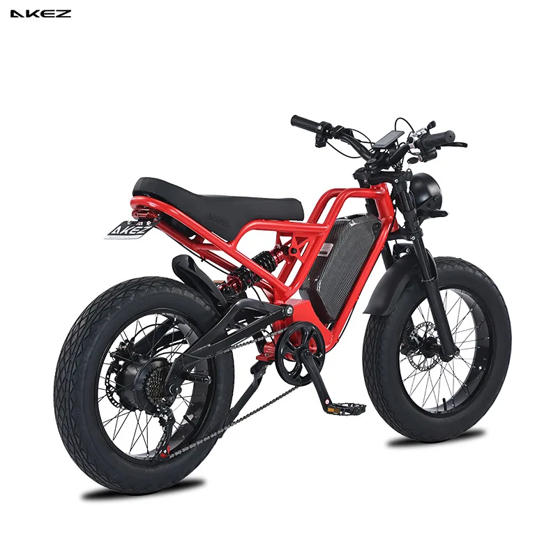 750W 13AH Electric Bicycle Two Wheel Drive E-Bike Fat Tire Dual Motor Electric Bike For Men 20 Inch