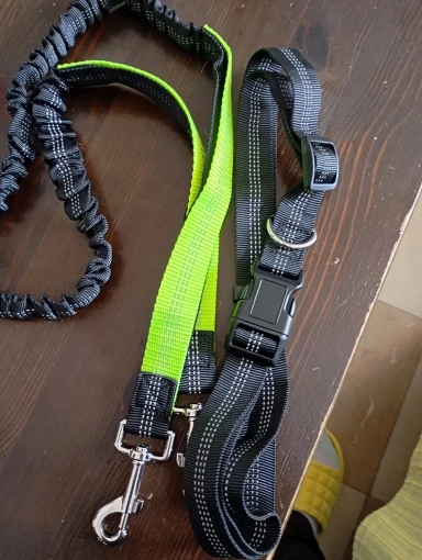 Customer review photo for Hands-Free Bungee Dog Leash with Adjustable Waist Belt