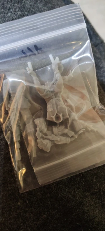 Buyer photo of this resin kit