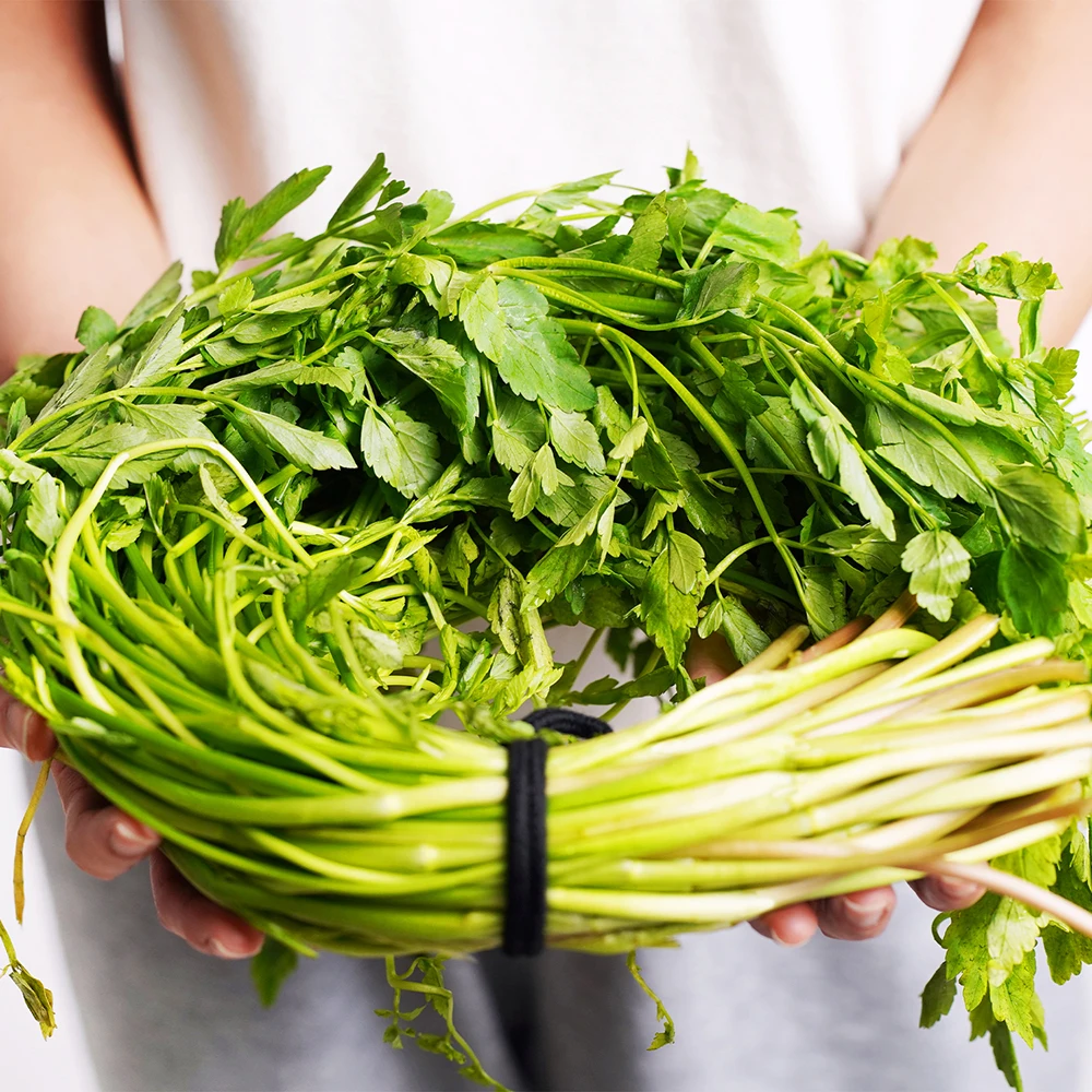 Spring scent full of domestic seasonal dishes water parsley