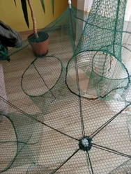 Imagen de reseña 2