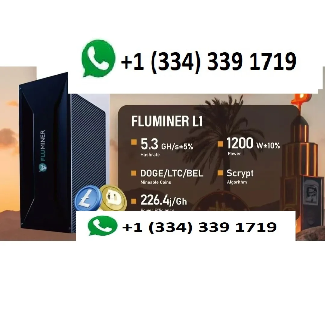 ПП ЛУЧШЕЕ ПРЕДЛОЖЕНИЕ КУПИТЬ 2 ПОЛУЧИ 1 БЕСПЛАТНО!! Fluminer L1 5.3G 1200W DOGE/LTC/ BEL cion домашний майнер