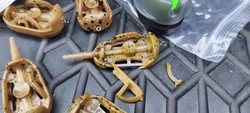 Imagen de reseña 1