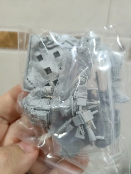 Buyer photo of this resin kit