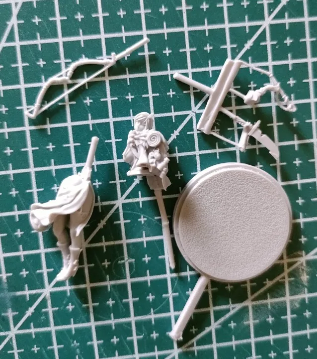 Buyer photo of this resin kit