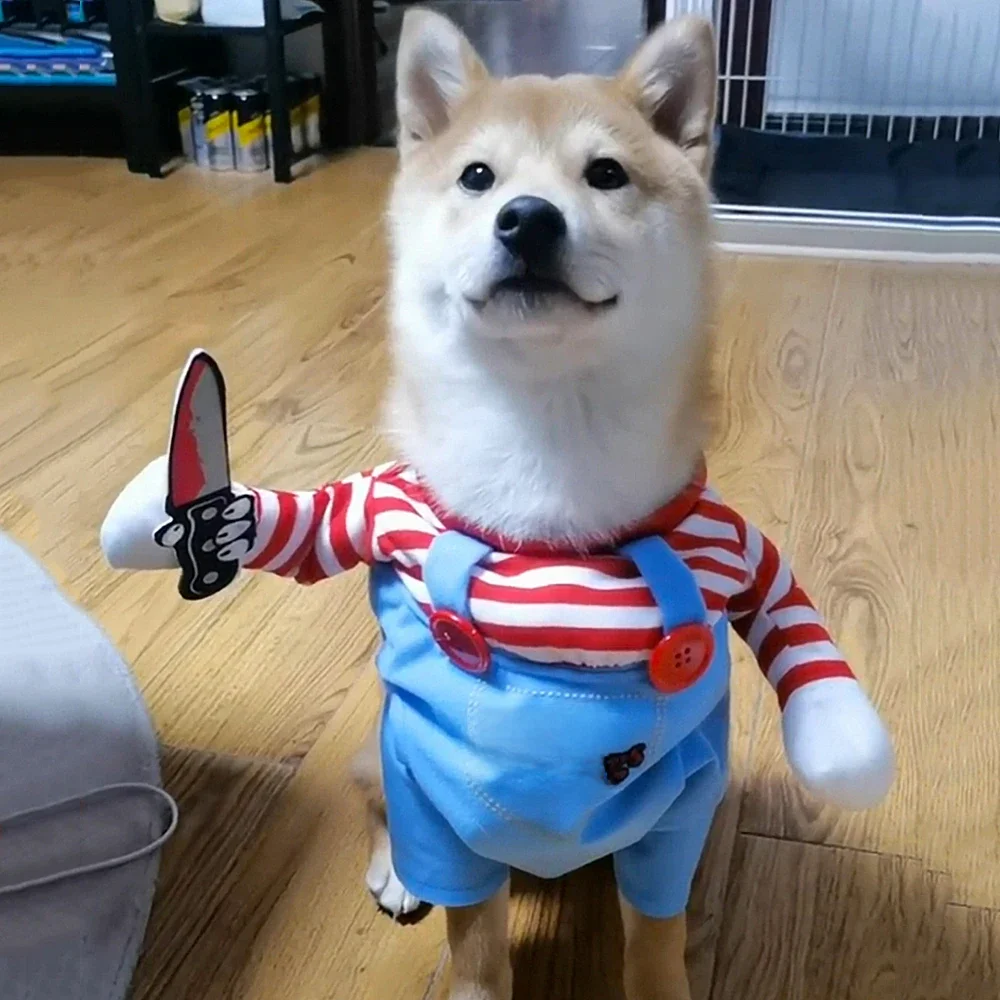 Halloween ubrania dla psów dla małych średnich psów koty zabawna impreza Cosplay kostium szczeniaka nowość Chihuahua Yorkshire mops odzież dla zwierząt — zdjęcie 2