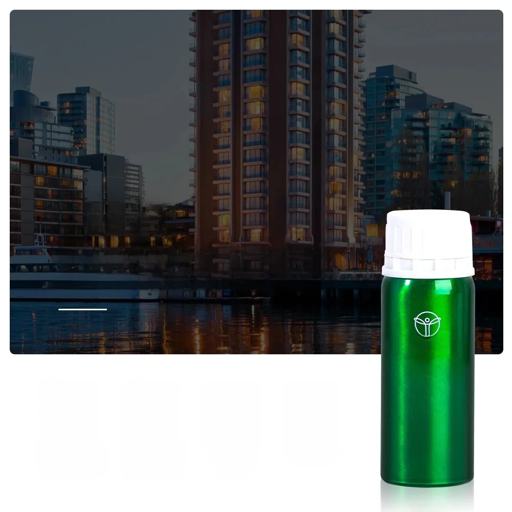 Diffuseur de parfum pour chambre d'hôtel, 100ML, désodorisant pour la maison, dispositif de parfum, purificateur d'air, humidificateur, recharge d'huile essentielle de voiture