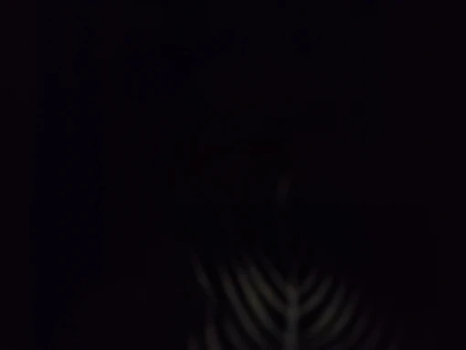 실물 포토 리뷰