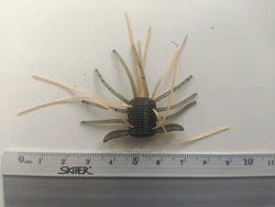 Imagen de reseña 3