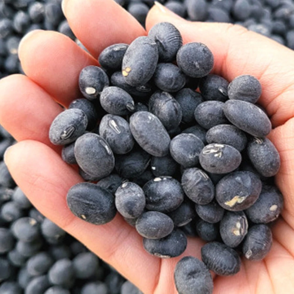 Large capacity! High-quality health black grain black bean/curiose (1kg)