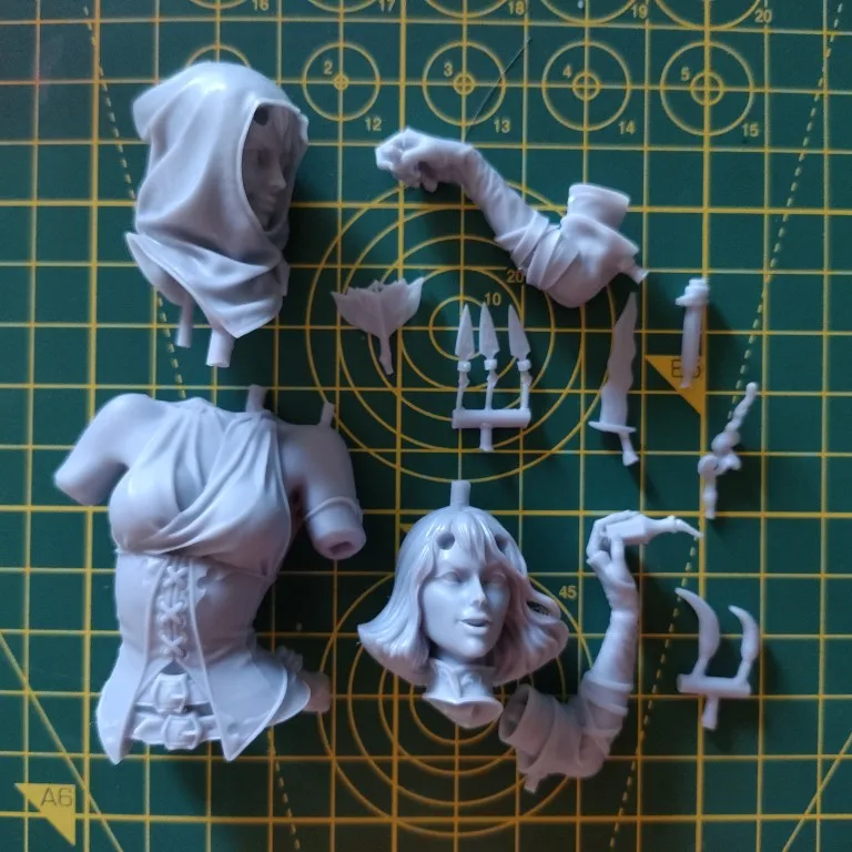 Buyer photo of this resin kit