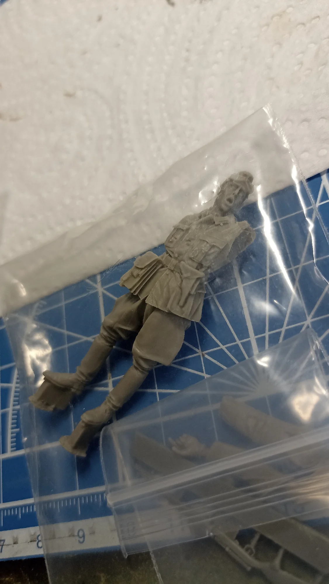 Buyer photo of this resin kit