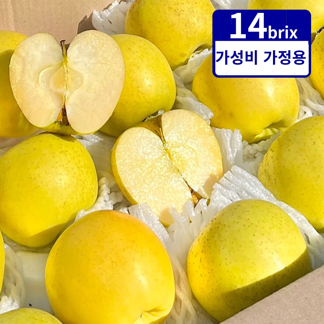 청송 시나노골드 사과 가정용 대과 2kg 5kg