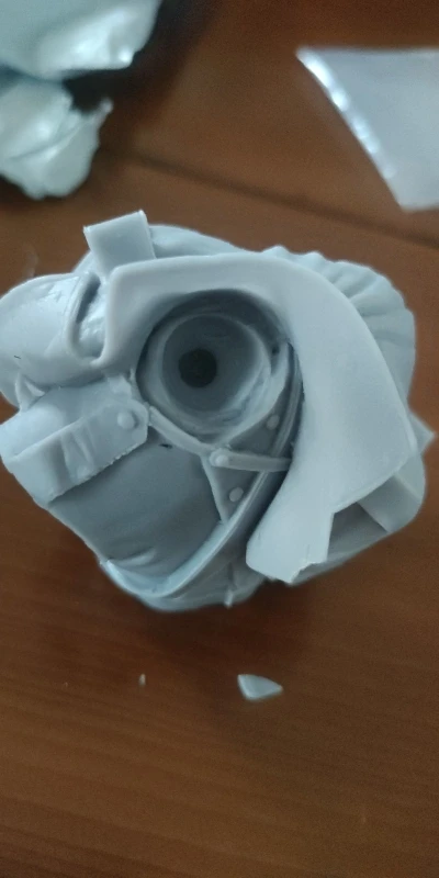 Buyer photo of this resin kit