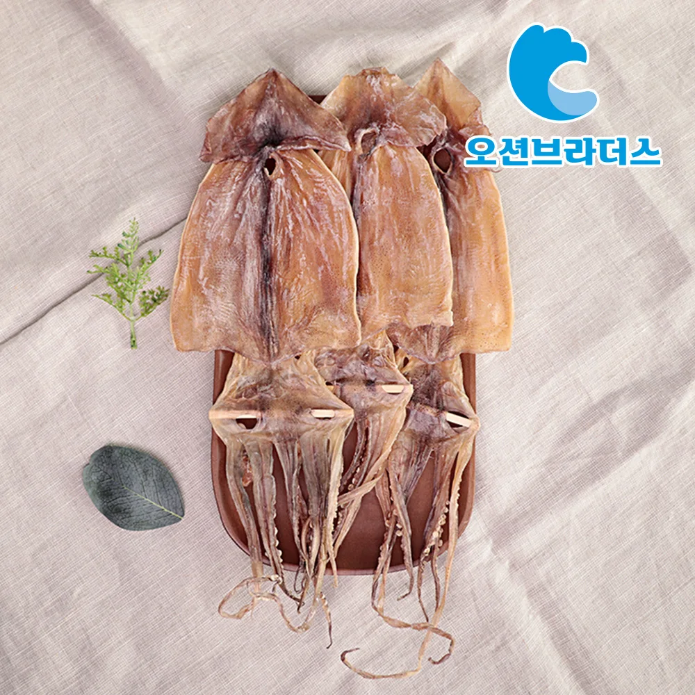 [Ocean Bros] Sing dry squid (medium) 5 10 20 animals/dry squid snack dried fish juice pout