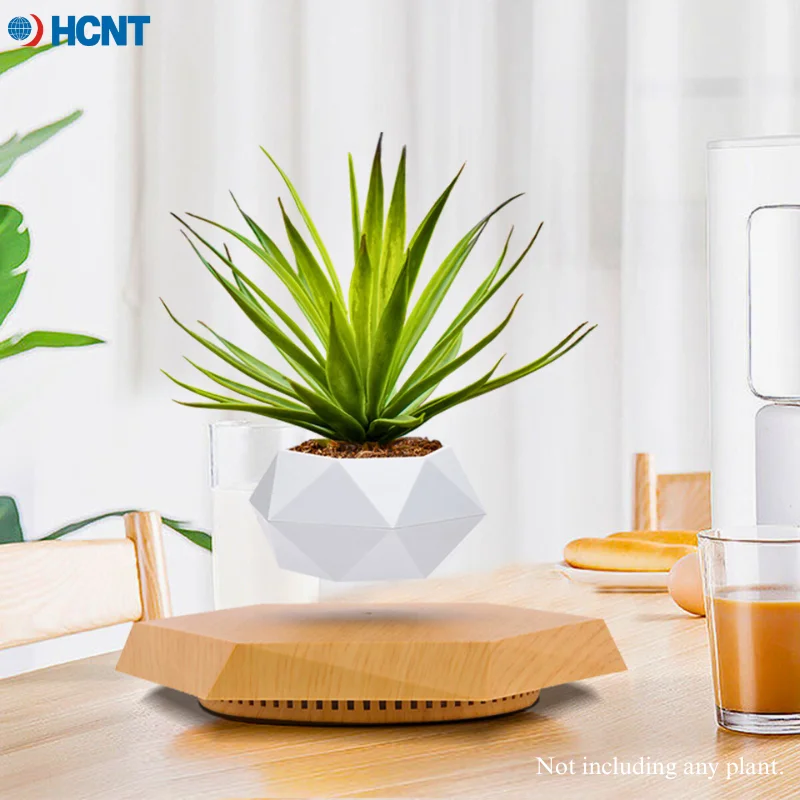 

Levitating Planter Floating Magnetic Display for Small Plants, Hovering Desk Decor Magnetic Plant Holder Unique Floating Plan